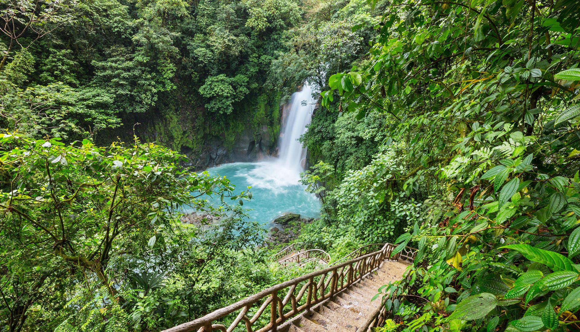 Cascada de agua en medio de la selva.